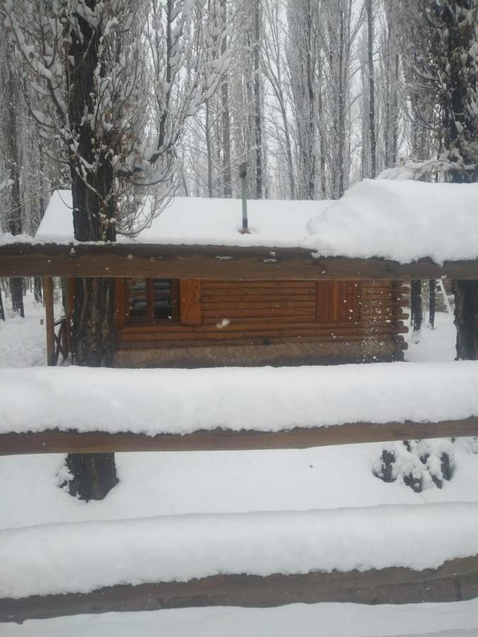 Chalet Bienaltura *