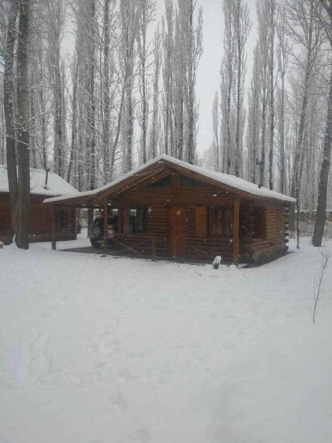 Chalet Bienaltura Uspallata